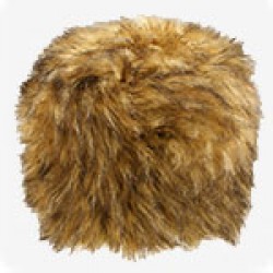 Karusnahksed mütsid (35)